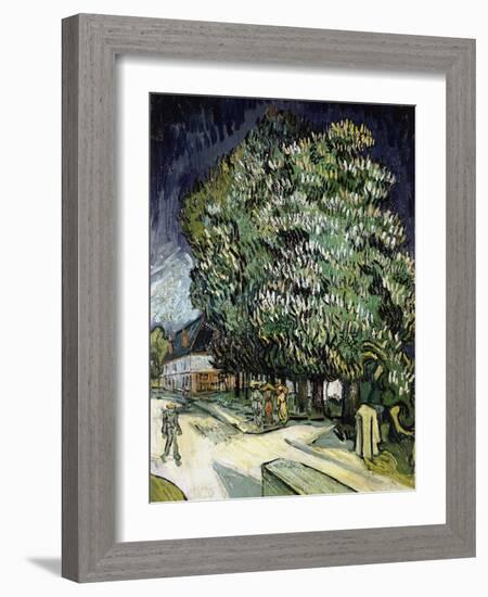 Chestnut Trees in Blossom, Auvers-Sur-Oise, 1890-Vincent van Gogh-Framed Giclee Print