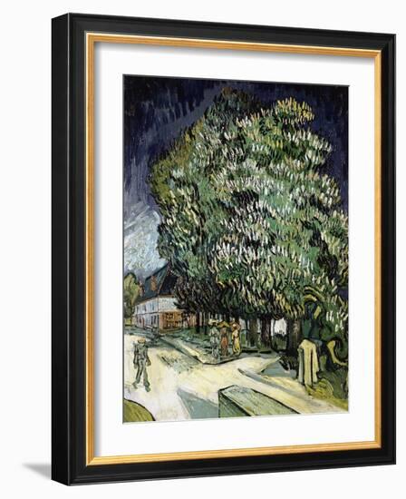 Chestnut Trees in Blossom, Auvers-Sur-Oise, 1890-Vincent van Gogh-Framed Giclee Print