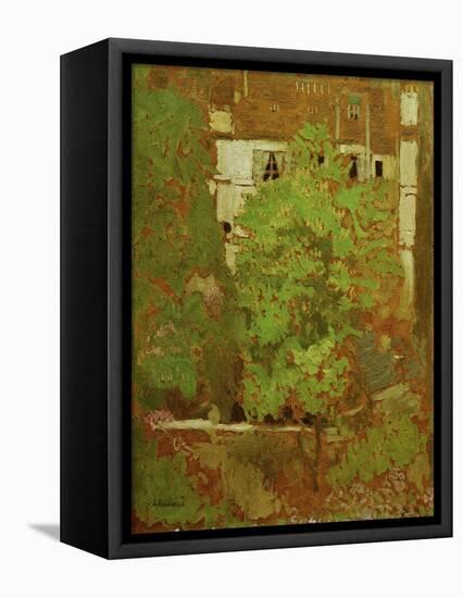 Chestnut Trees in Rue Truffaut (in the 17th Arrondissement in Paris), c.1900-Edouard Vuillard-Framed Premier Image Canvas