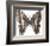 Chestnut Wings-Assaf Frank-Framed Giclee Print