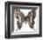 Chestnut Wings-Assaf Frank-Framed Giclee Print