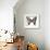 Chestnut Wings-Assaf Frank-Framed Giclee Print displayed on a wall