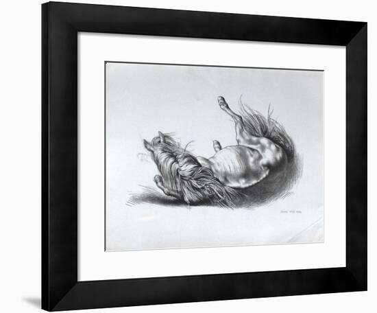 Cheval couché-Akos Szabo-Framed Premium Edition