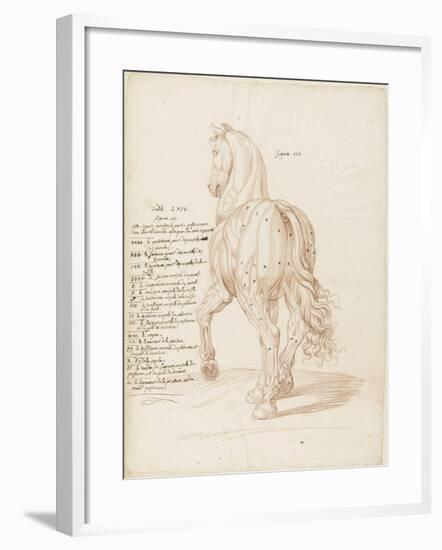 Cheval debout, vu de trois quarts et de dos-Edme Bouchardon-Framed Giclee Print