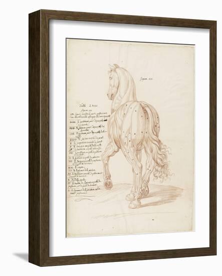 Cheval debout, vu de trois quarts et de dos-Edme Bouchardon-Framed Giclee Print