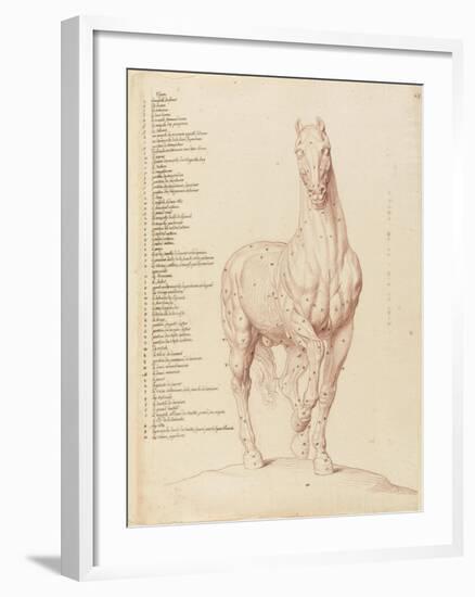 Cheval écorché, debout, la tête vue de face-Edme Bouchardon-Framed Giclee Print