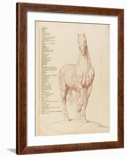 Cheval écorché, debout, la tête vue de face-Edme Bouchardon-Framed Giclee Print