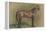 Cheval tourné vers la droite-Edgar Degas-Framed Premier Image Canvas
