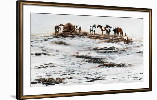 Cheveaux pinto au printemps-Sylvia Audet-Framed Art Print