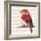 Cheveron Baby Red Bird II-Patricia Pinto-Framed Premium Giclee Print