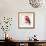 Cheveron Baby Red Bird II-Patricia Pinto-Framed Premium Giclee Print displayed on a wall