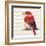 Cheveron Baby Red Bird II-Patricia Pinto-Framed Premium Giclee Print