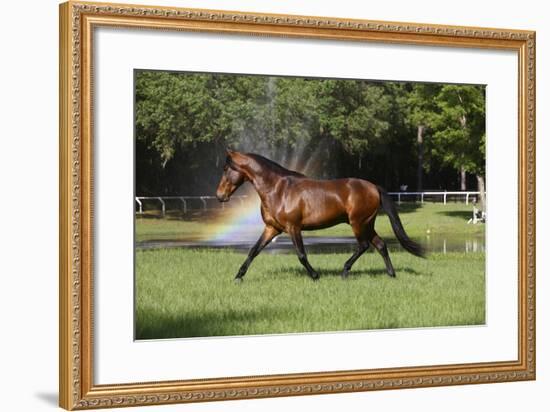 Cheveyo-Bob Langrish-Framed Photographic Print