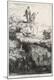 Photographic Print