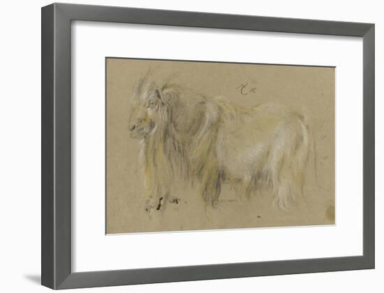 Chèvre-Pieter Boel-Framed Giclee Print