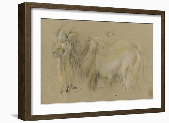 Chèvre-Pieter Boel-Framed Giclee Print