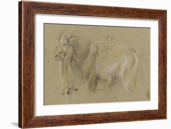 Chèvre-Pieter Boel-Framed Giclee Print