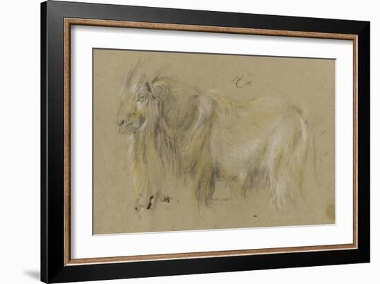 Chèvre-Pieter Boel-Framed Giclee Print