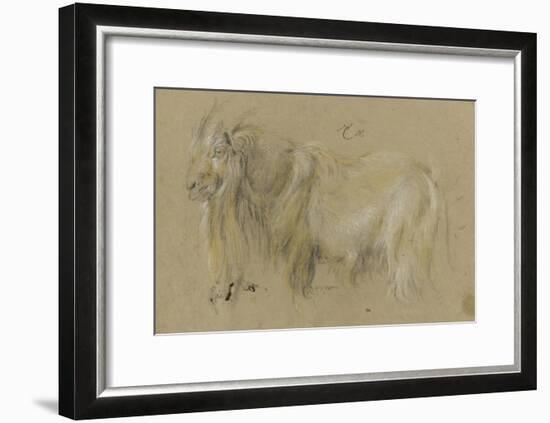 Chèvre-Pieter Boel-Framed Giclee Print