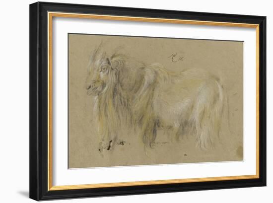 Chèvre-Pieter Boel-Framed Giclee Print