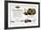 Chevrolet Ad, 1929-null-Framed Giclee Print