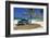 Chevrolet Classic Car under a Palm Tree on the Beach of the Island of Cayo Coco, Cuba-null-Framed Premium Giclee Print