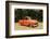 Chevrolet Model 3A Truck 1957-Simon Clay-Framed Photographic Print