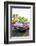 Chevrolet Vintage Car, the 50S, the Fifties, American Vintage Cars, Ocean Drive-Axel Schmies-Framed Photographic Print