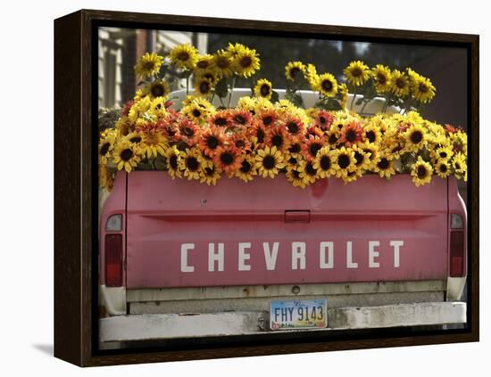 Chevrolet-Amy Sancetta-Framed Premier Image Canvas