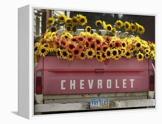 Chevrolet-Amy Sancetta-Framed Premier Image Canvas