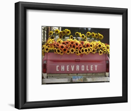 Chevrolet-Amy Sancetta-Framed Photographic Print