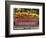 Chevrolet-Amy Sancetta-Framed Photographic Print