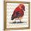 Chevron Baby Red Bird I-Patricia Pinto-Framed Stretched Canvas