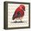 Chevron Baby Red Bird I-Patricia Pinto-Framed Stretched Canvas