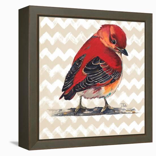 Chevron Baby Red Bird I-Patricia Pinto-Framed Stretched Canvas