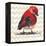 Chevron Baby Red Bird I-Patricia Pinto-Framed Stretched Canvas