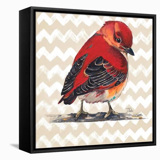 Chevron Baby Red Bird I-Patricia Pinto-Framed Stretched Canvas