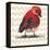 Chevron Baby Red Bird I-Patricia Pinto-Framed Stretched Canvas