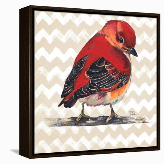 Chevron Baby Red Bird I-Patricia Pinto-Framed Stretched Canvas