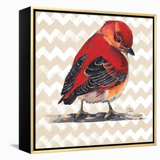 Chevron Baby Red Bird I-Patricia Pinto-Framed Stretched Canvas