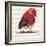 Chevron Baby Red Bird I-Patricia Pinto-Framed Art Print