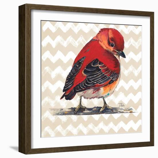 Chevron Baby Red Bird I-Patricia Pinto-Framed Art Print