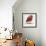 Chevron Baby Red Bird I-Patricia Pinto-Framed Art Print displayed on a wall