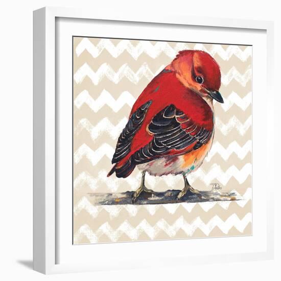 Chevron Baby Red Bird I-Patricia Pinto-Framed Art Print