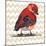 Chevron Baby Red Bird I-Patricia Pinto-Mounted Art Print