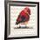 Chevron Baby Red Bird I-Patricia Pinto-Framed Premium Giclee Print