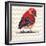 Chevron Baby Red Bird I-Patricia Pinto-Framed Premium Giclee Print