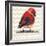 Chevron Baby Red Bird I-Patricia Pinto-Framed Premium Giclee Print