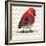 Chevron Baby Red Bird I-Patricia Pinto-Framed Premium Giclee Print