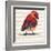 Chevron Baby Red Bird I-Patricia Pinto-Framed Art Print